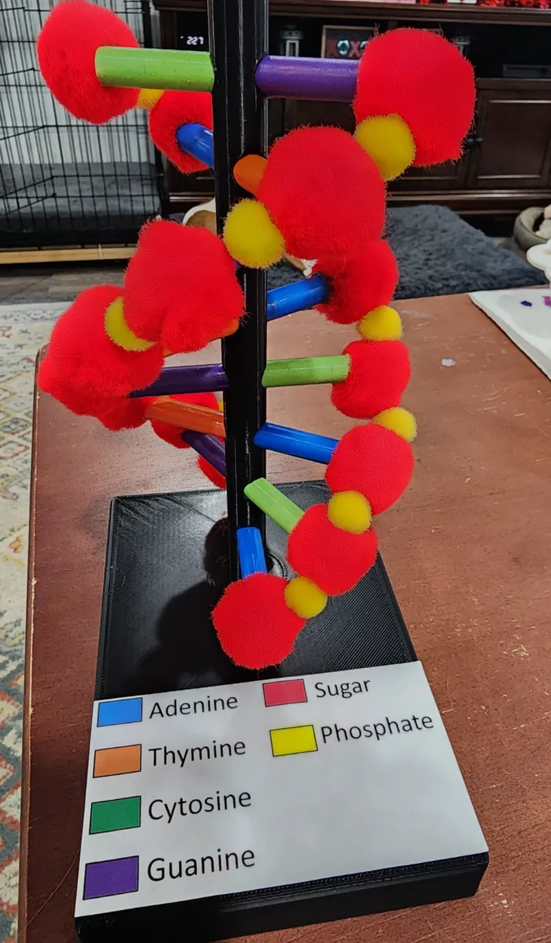 DNA Stand