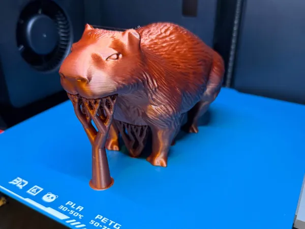 https://makerworld.bblmw.com/makerworld/model/USeeb4f3d72746cd/design/2025-08-14_595293b63f4b1.jpg