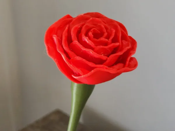 https://makerworld.bblmw.com/makerworld/model/USeeb5ece8b770b1/design/2024-06-19_58c094c99e33b.jpeg