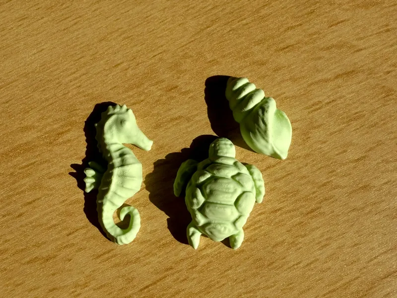 Seahorse sea turtle shell