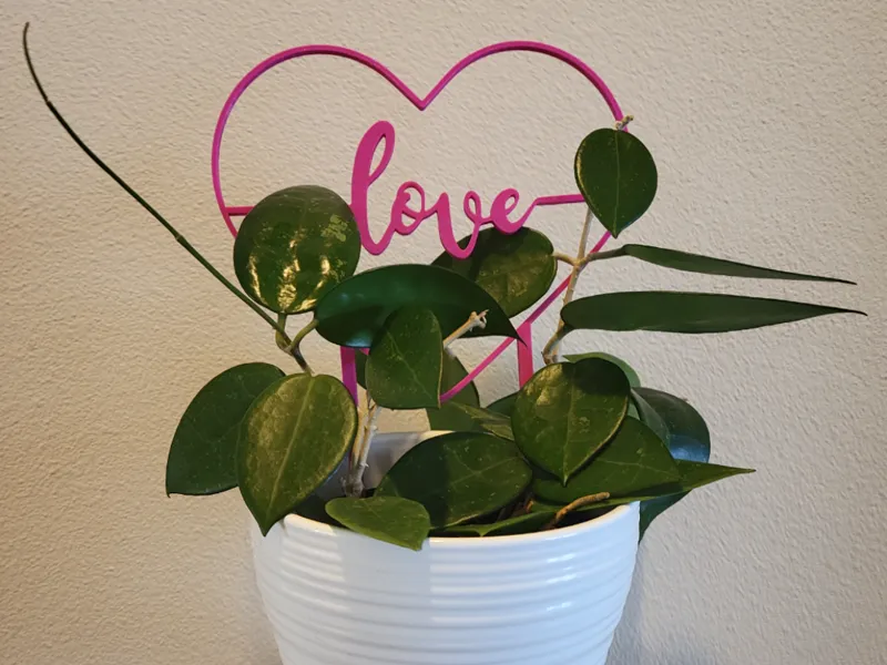 "Love" Heart Mini Trellis-2 versions