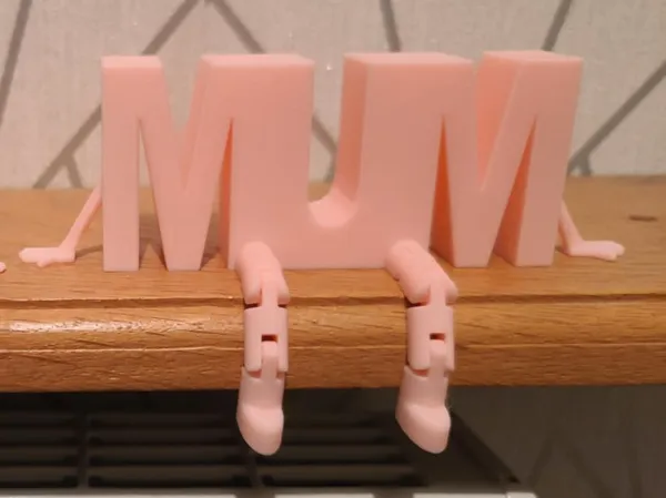 https://makerworld.bblmw.com/makerworld/model/USeec47ba423dc19/design/2025-03-23_051555ea87889.jpg