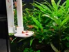 Feeder - 0.2mm layer, 2 walls, 15% infill