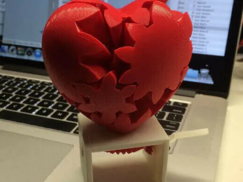 heart