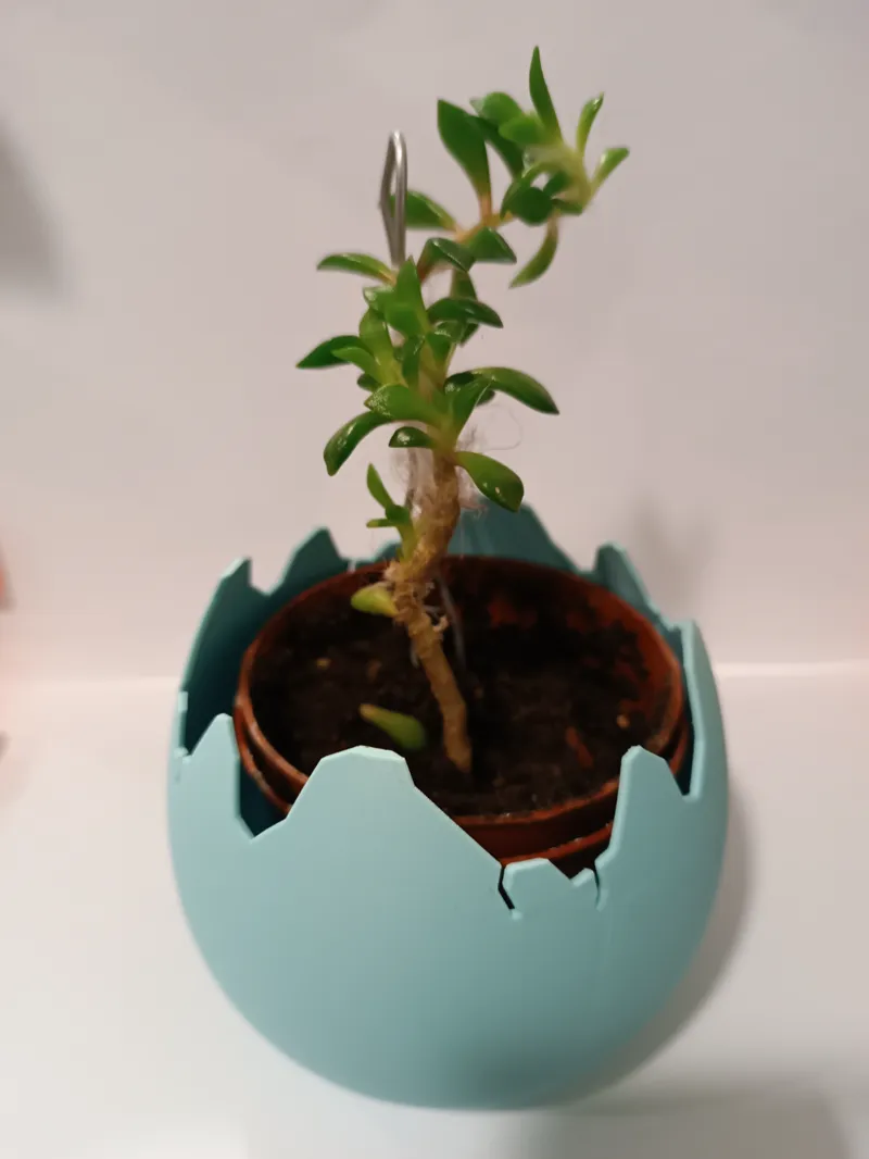 Cracked egg shaped planter pot