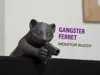 0.2mm layer, 2 walls, 5% infill