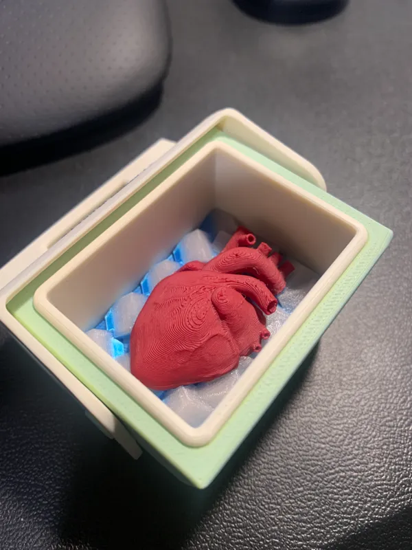 https://makerworld.bblmw.com/makerworld/model/USeee0386f4da248/design/2024-04-09_fbd1043a8c107.jpg