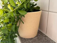 0.2mm layer, 2 walls, 5% infill