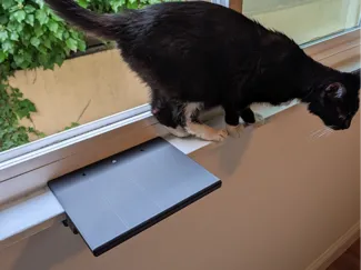 Cat Shelf for Window Sill