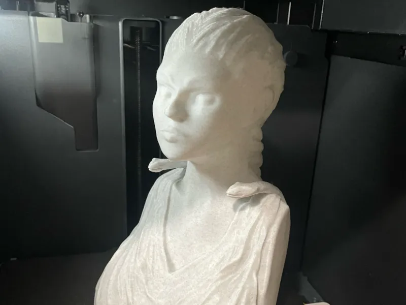 Medusa Themed Bust