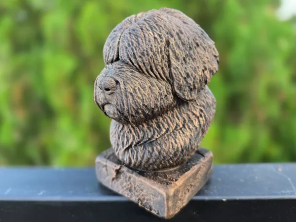 https://makerworld.bblmw.com/makerworld/model/USef086bbbd3dd6/design/2025-10-01_c64178237af698.jpg