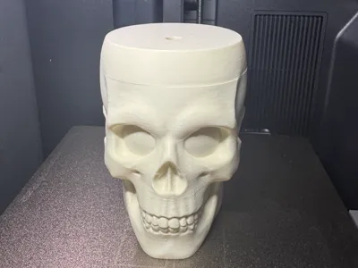 Skelly 12oz can koozie