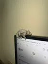 All printers can print this profile!!