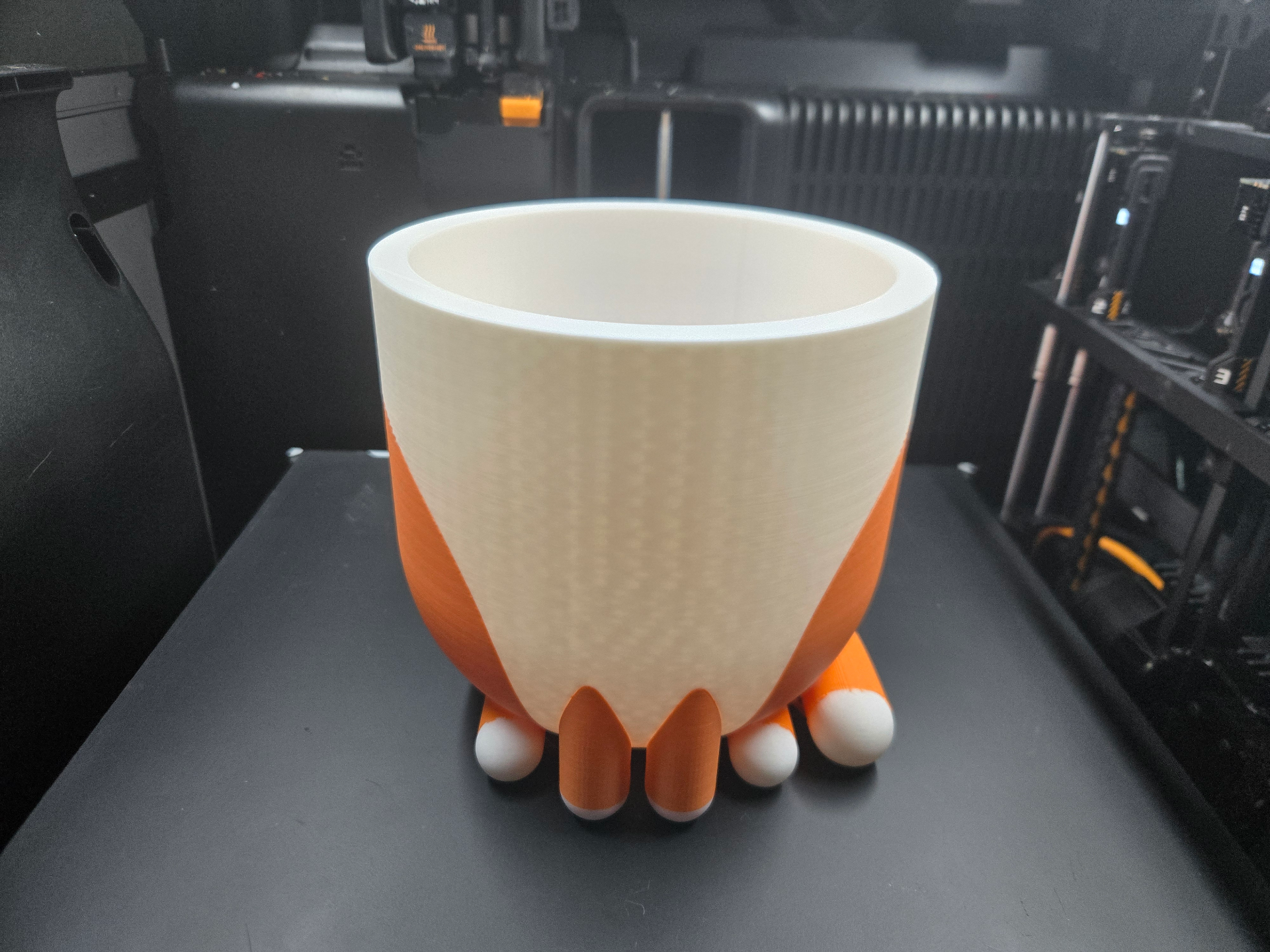 Cat storage organizer