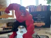 0.12mm layer, 3 walls, 15% infill