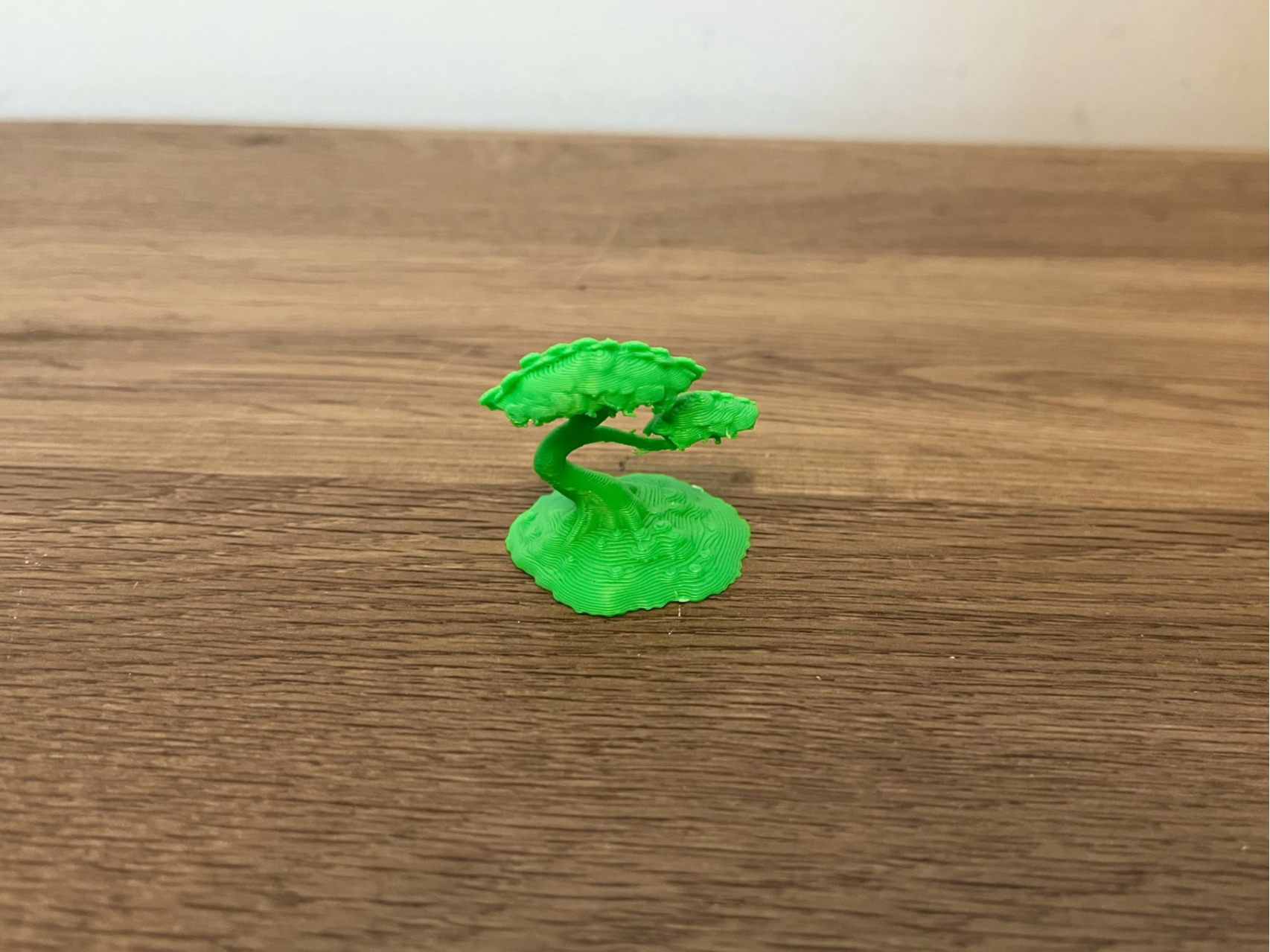 Worlds Smallest Bonsai Tree (Only 9 Grams)