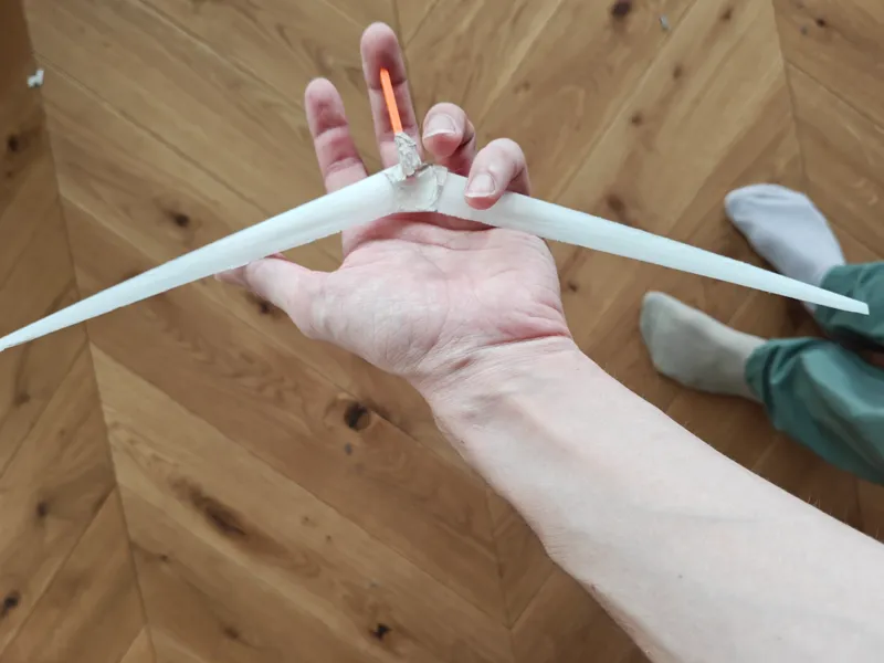 Prandtl Wing 33cm