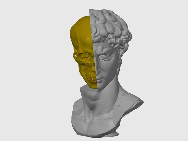The David Bust (Mortality Duality)
