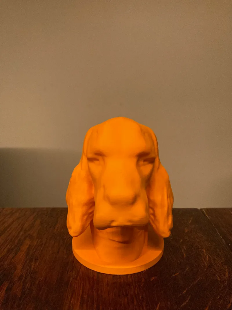 Cocker_Spaniel_Head