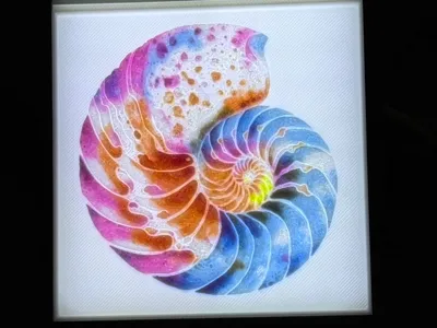 Colorful Nautilus Lithophane