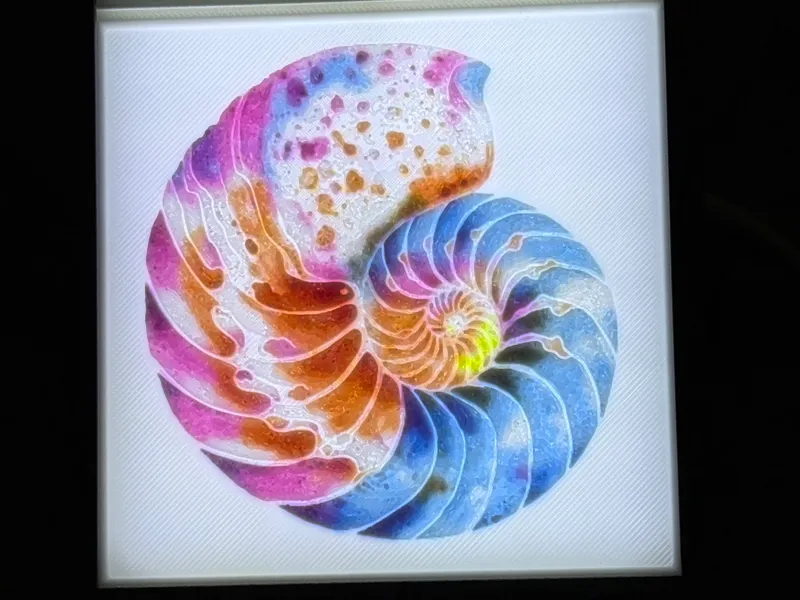 Colorful Nautilus Lithophane