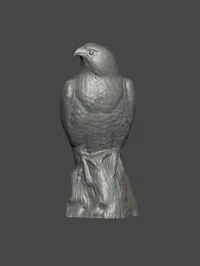 Statue de faucon — photo 1