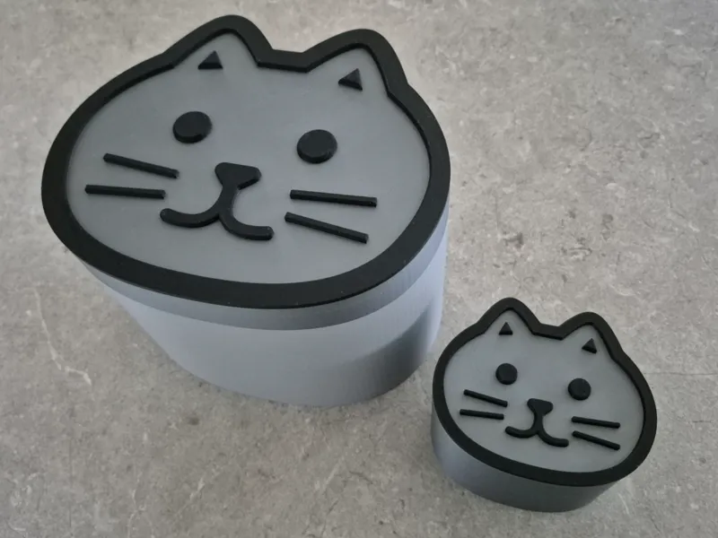 Magnetic Cat Box