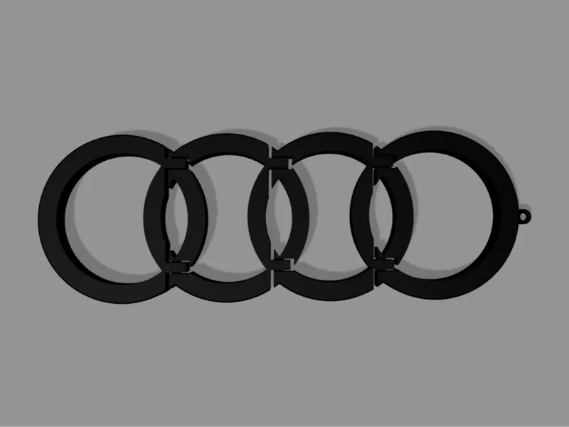 Flexi Audi Keychain
