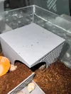A climbing frame is on the right 0.2mm layer, 3 walls, 15% infill
