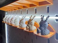 Présentoir Skadis pour Cali-Dragon v2 — photo 2