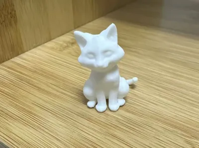 Kitten