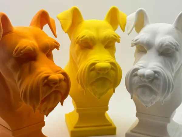 https://makerworld.bblmw.com/makerworld/model/USef37310f44373b/design/2025-07-22_dafef6078e8ff.jpg
