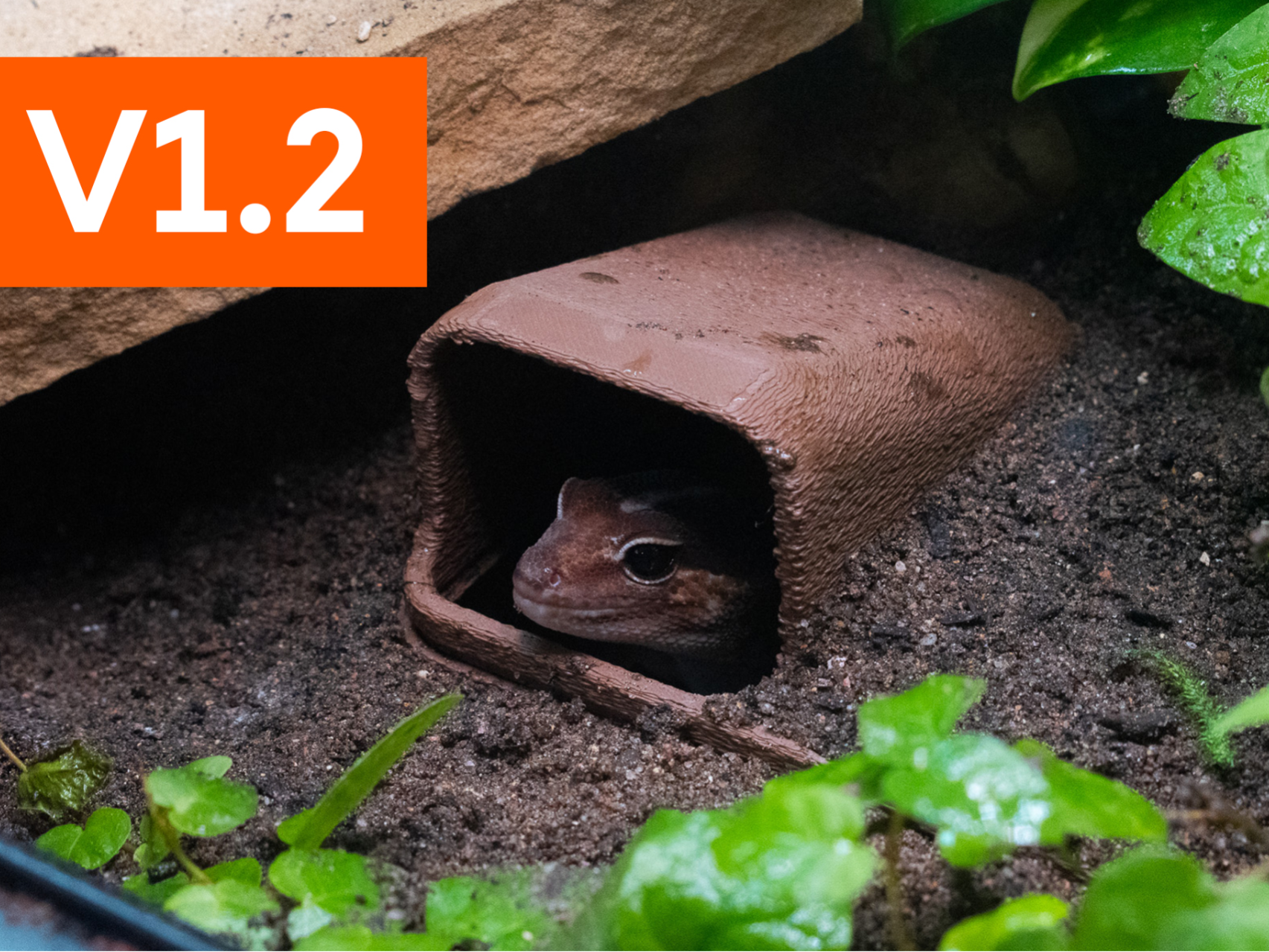 Underground Reptile Hide