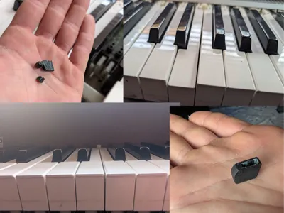 Casio Celviano electric piano hammer cap/cover