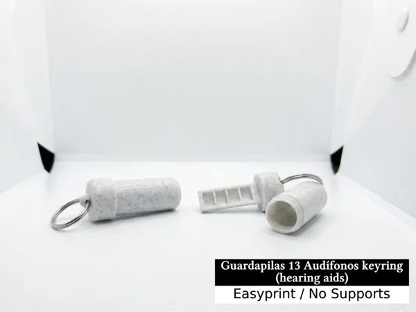 https://makerworld.bblmw.com/makerworld/model/USef3f3621c2af5c/design/b21d0b8bdff89234.jpg