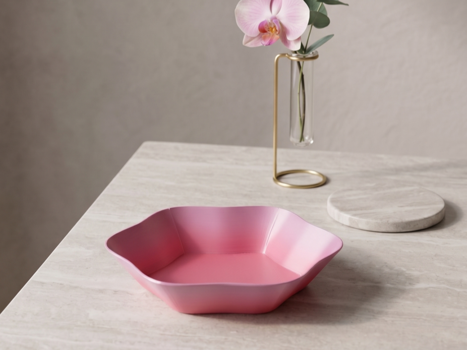 Cute Hexagonal Tray