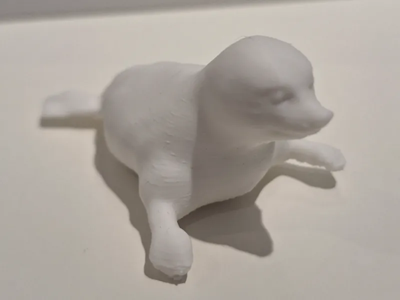 Robbe - Cute Seal
