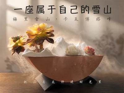 Yunqi Mountainware · Kawa Garbo Snow Mountain Succulent Pot