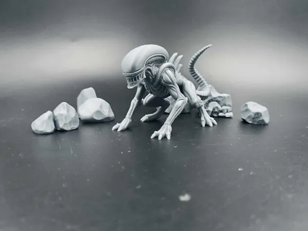 https://makerworld.bblmw.com/makerworld/model/USef46117b2d7543/design/2025-09-16_45dabb6cfbd388.jpg