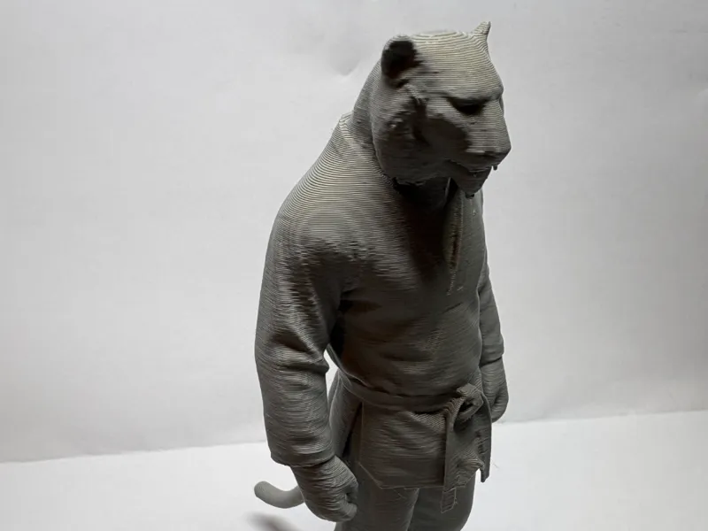 Tiger wearing TaeKwonDo Uniform