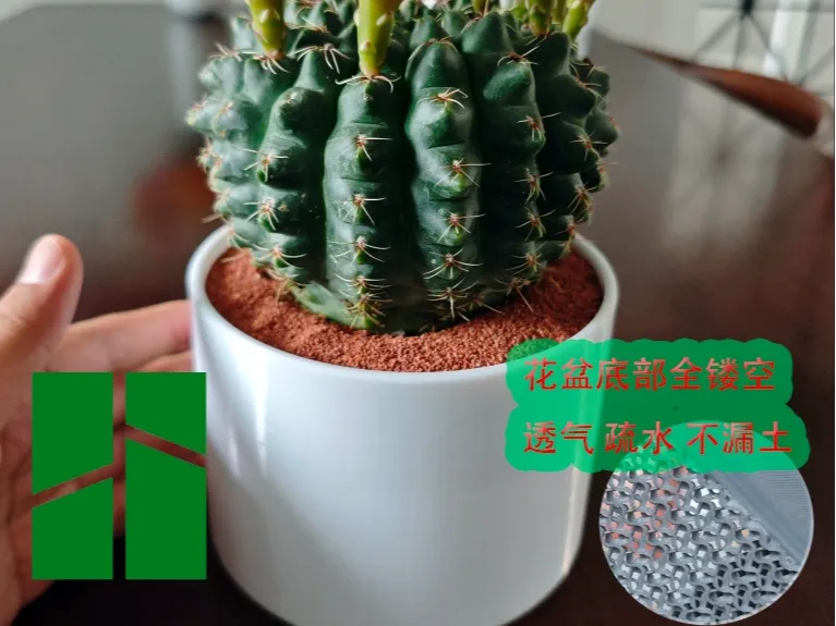 简约花盆 底部 超透气 疏水 不漏土！