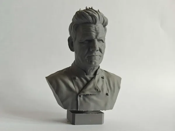 https://makerworld.bblmw.com/makerworld/model/USef51bab8cb601/design/17511a4669084c6f.jpg