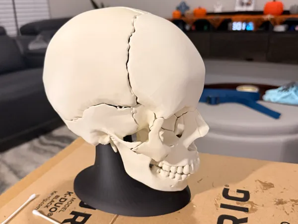 https://makerworld.bblmw.com/makerworld/model/USef535968b535c3/design/2025-12-07_713dc824e0d958.jpeg