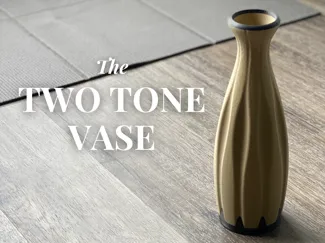 The Two Tone Vase