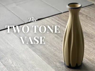 The Two Tone Vase