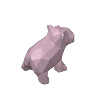 Hippopotame mignon — photo 4