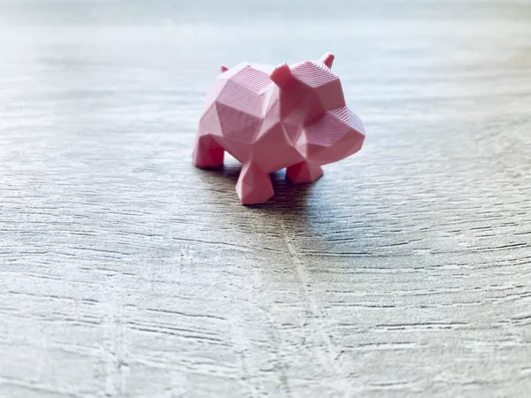 https://makerworld.bblmw.com/makerworld/model/USef5e675902d33/design/2024-04-17_460629db5a7aa.jpg