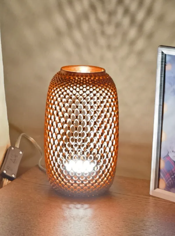 https://makerworld.bblmw.com/makerworld/model/USef6144499a06cb/design/2024-12-08_d2c1f9b07f41b8.jpg