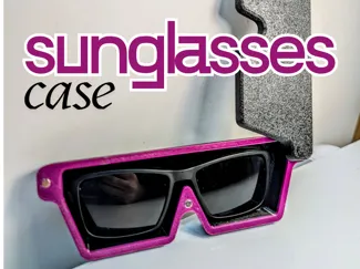 Magnetic Sunglasses Case (many sizes available)