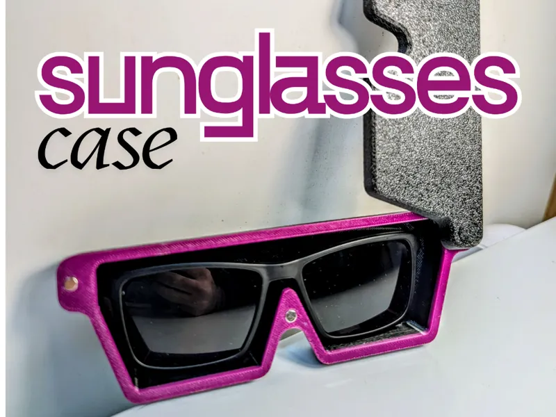 Magnetic Sunglasses Case (many sizes available)